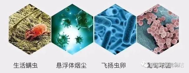 车用空调最好每月洗一次-广州空调清洗-东莞风管清洗-通风系统清洗